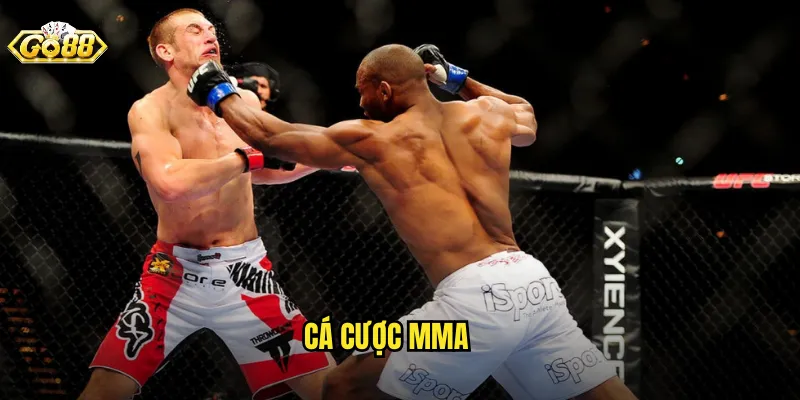 Cá Cược MMA